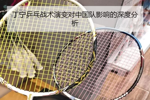 丁宁乒乓战术演变对中国队影响的深度分析