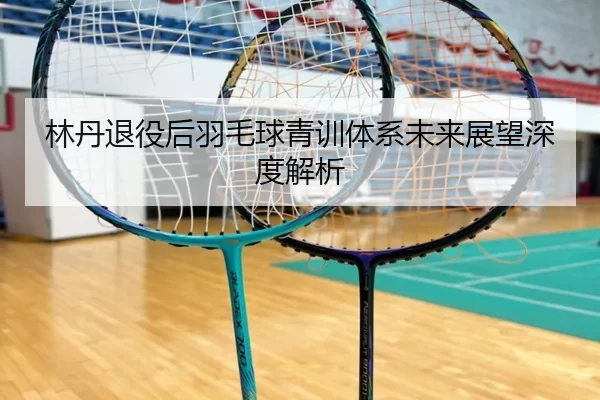 林丹退役后羽毛球青训体系未来展望深度解析