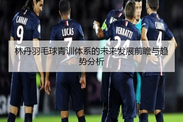 林丹羽毛球青训体系的未来发展前瞻与趋势分析