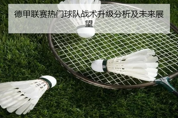 德甲联赛热门球队战术升级分析及未来展望