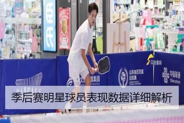 季后赛明星球员表现数据详细解析
